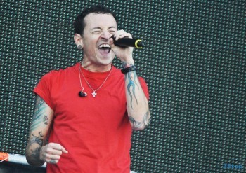 У этого термина существуют и другие значения