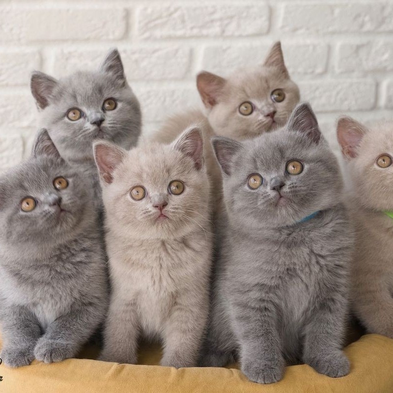 Фотография клиники