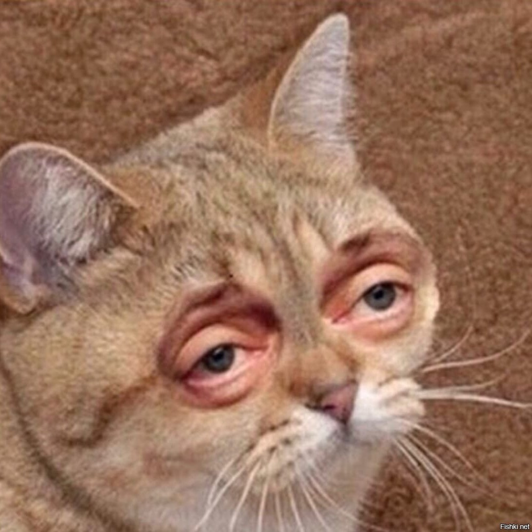 Фотография клиники